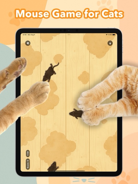 Games for Cats iPad 4